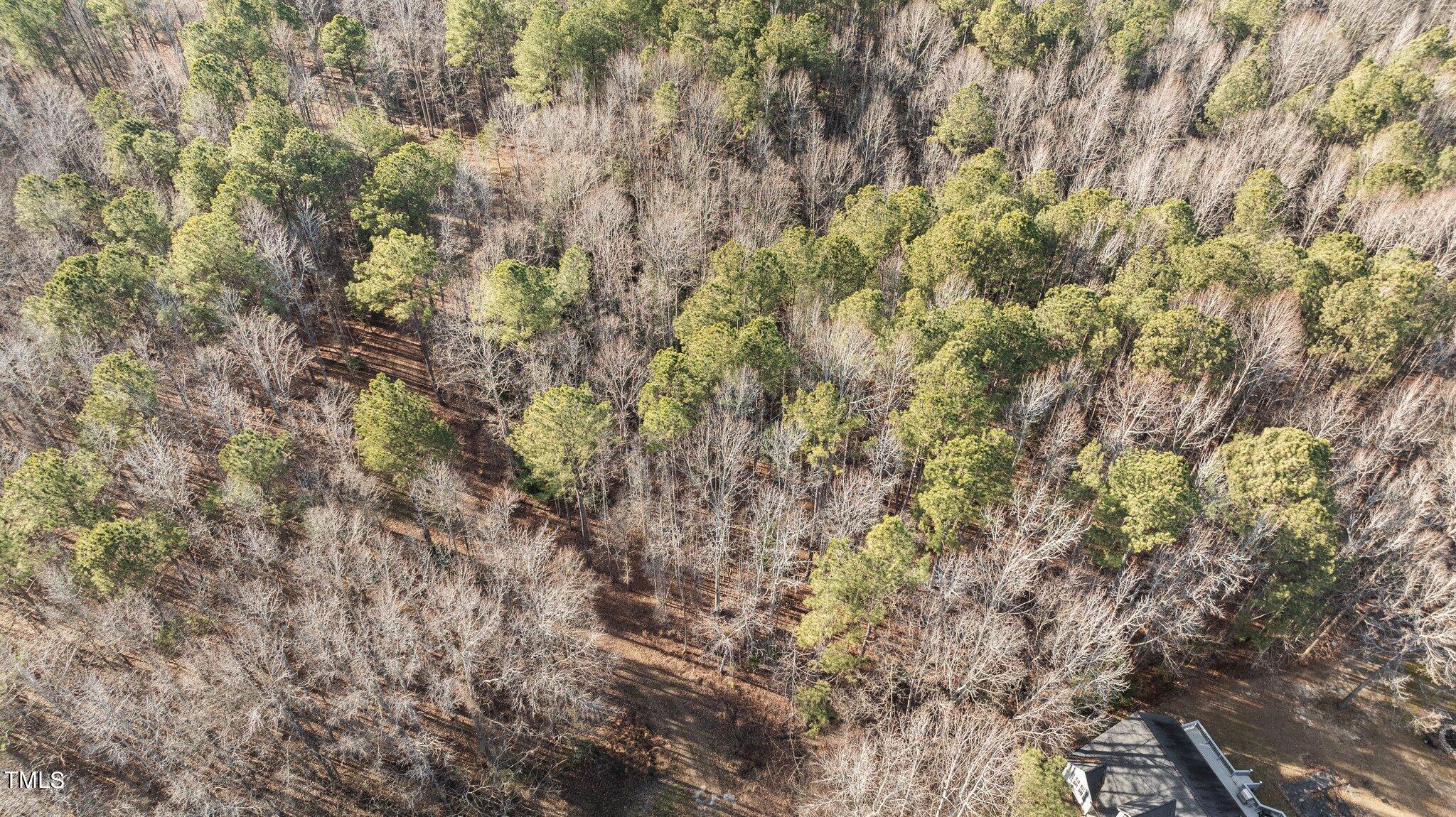43.76 Acre Huntsburg Drive Property Photo 5