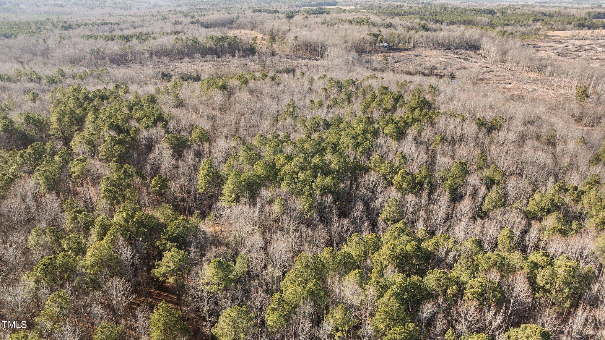 43.76 Acre Huntsburg Drive Property Photo 6