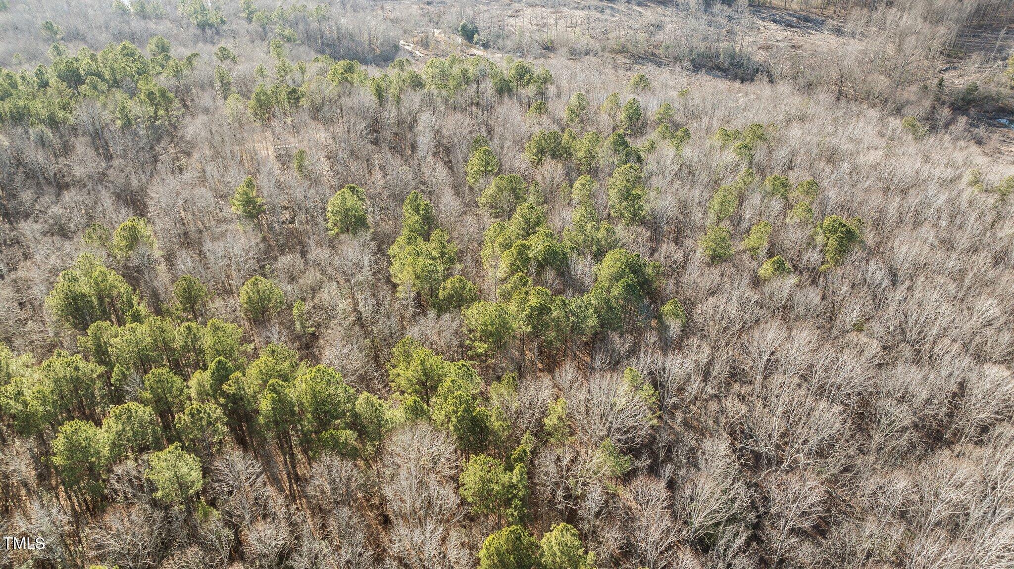 43.76 Acre Huntsburg Drive Property Photo 10