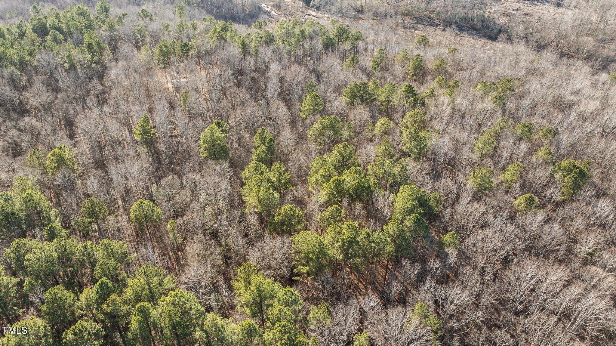 43.76 Acre Huntsburg Drive Property Photo 11