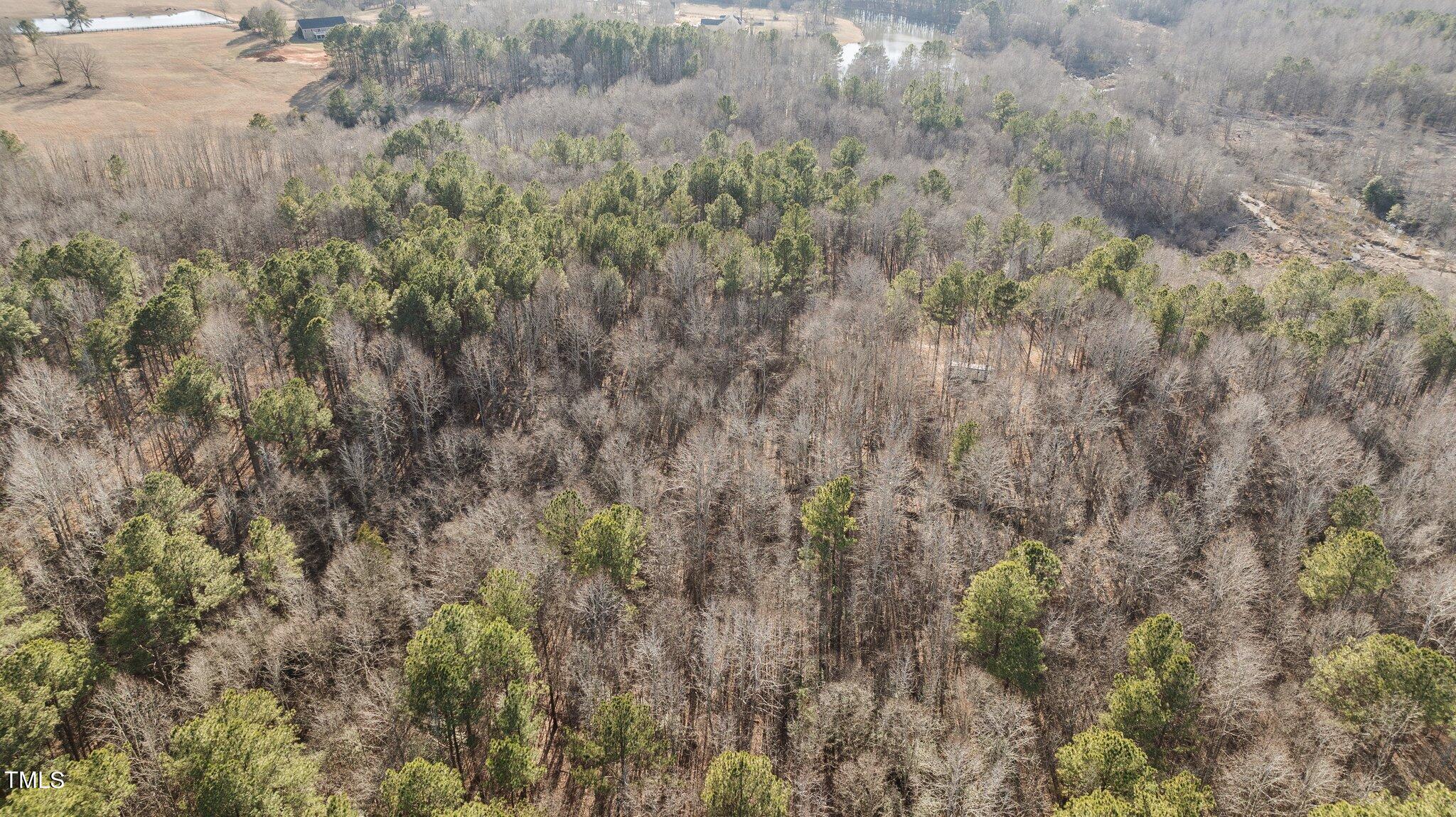 43.76 Acre Huntsburg Drive Property Photo 12