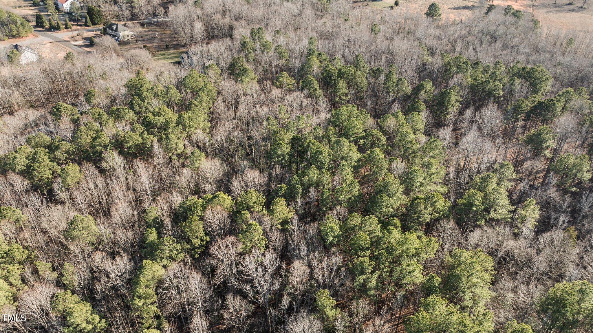43.76 Acre Huntsburg Drive Property Photo 15