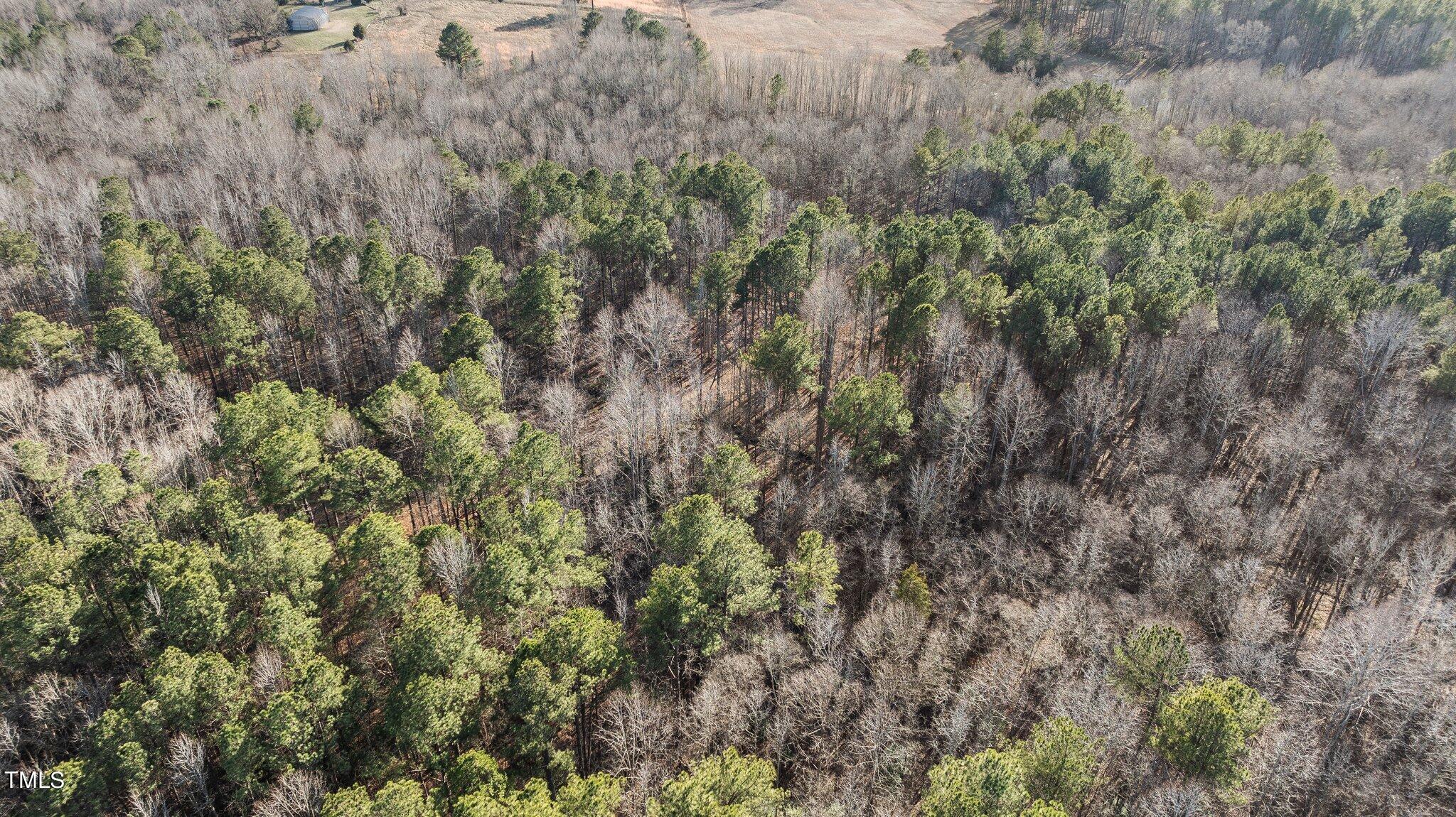 43.76 Acre Huntsburg Drive Property Photo 16
