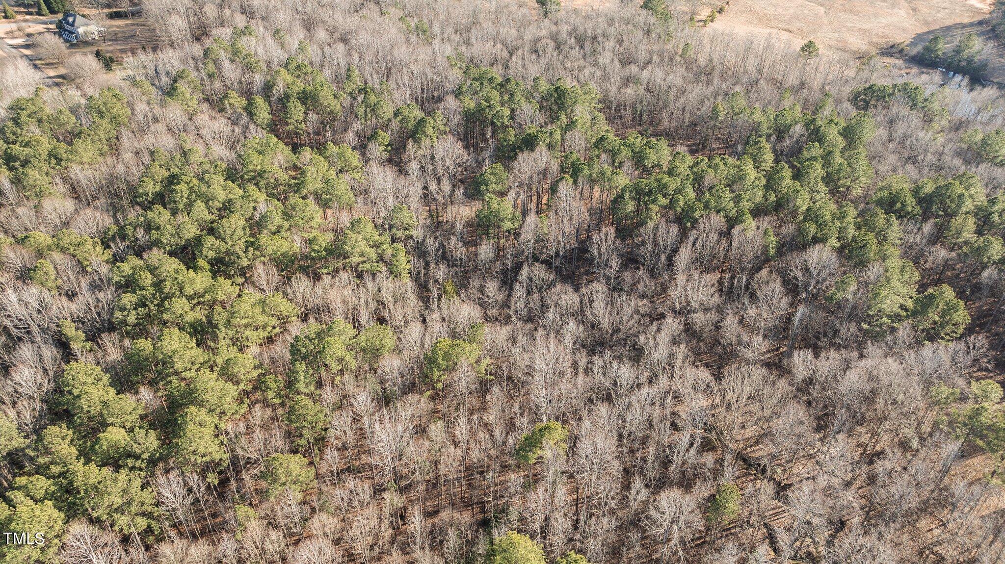 43.76 Acre Huntsburg Drive Property Photo 20