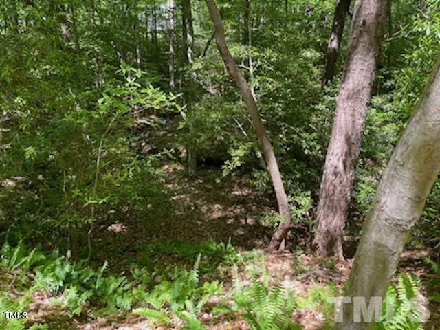 248 Rawhide Drive Property Photo 2