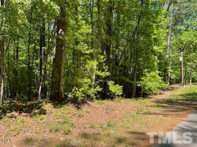 248 Rawhide Drive Property Photo 3