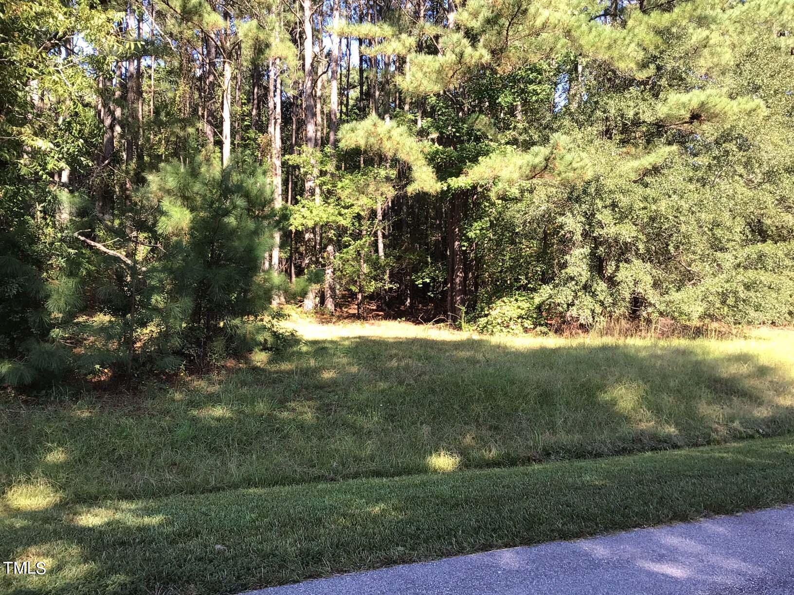 01 Crosslink Drive Property Photo 4