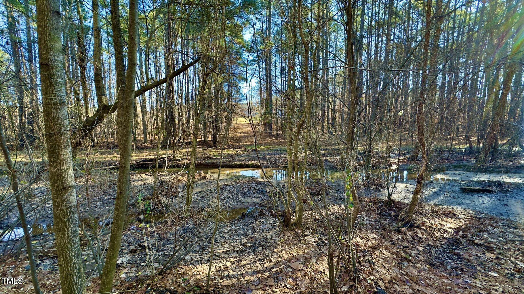 1000 Alben Street Property Photo 9