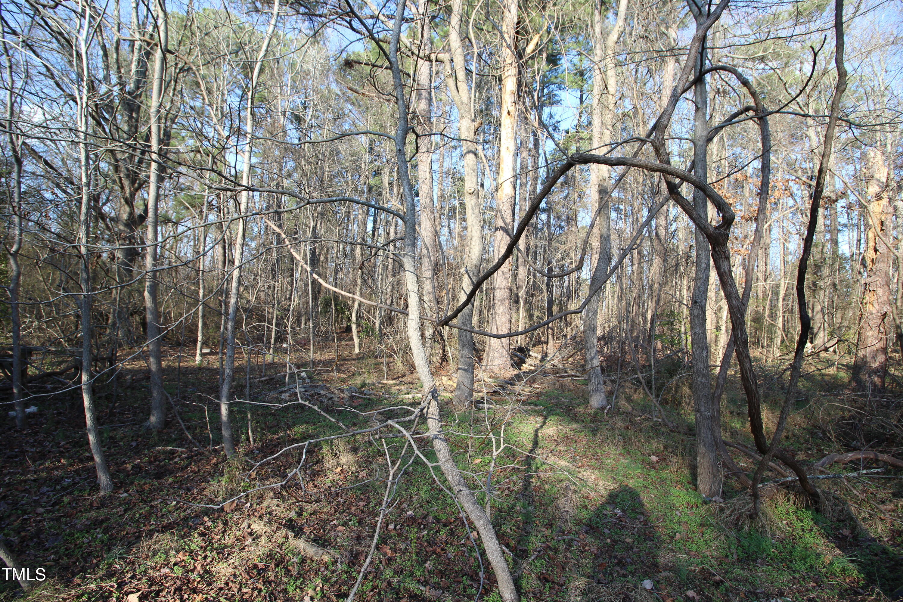 920 W Holly Springs Road Property Photo 9