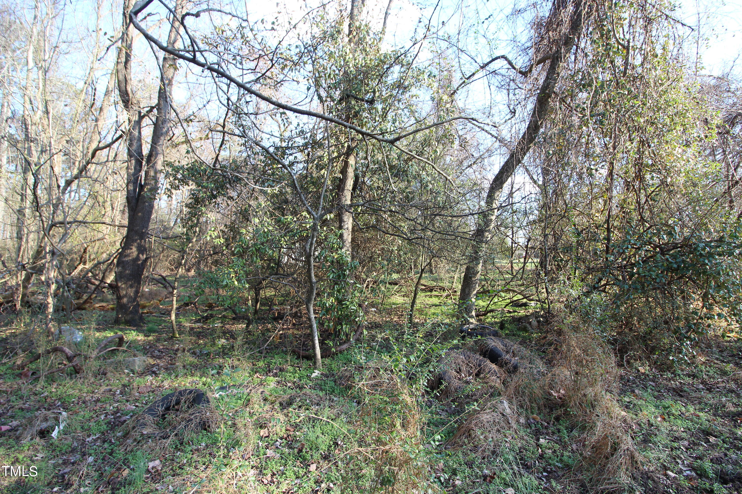 920 W Holly Springs Road Property Photo 10