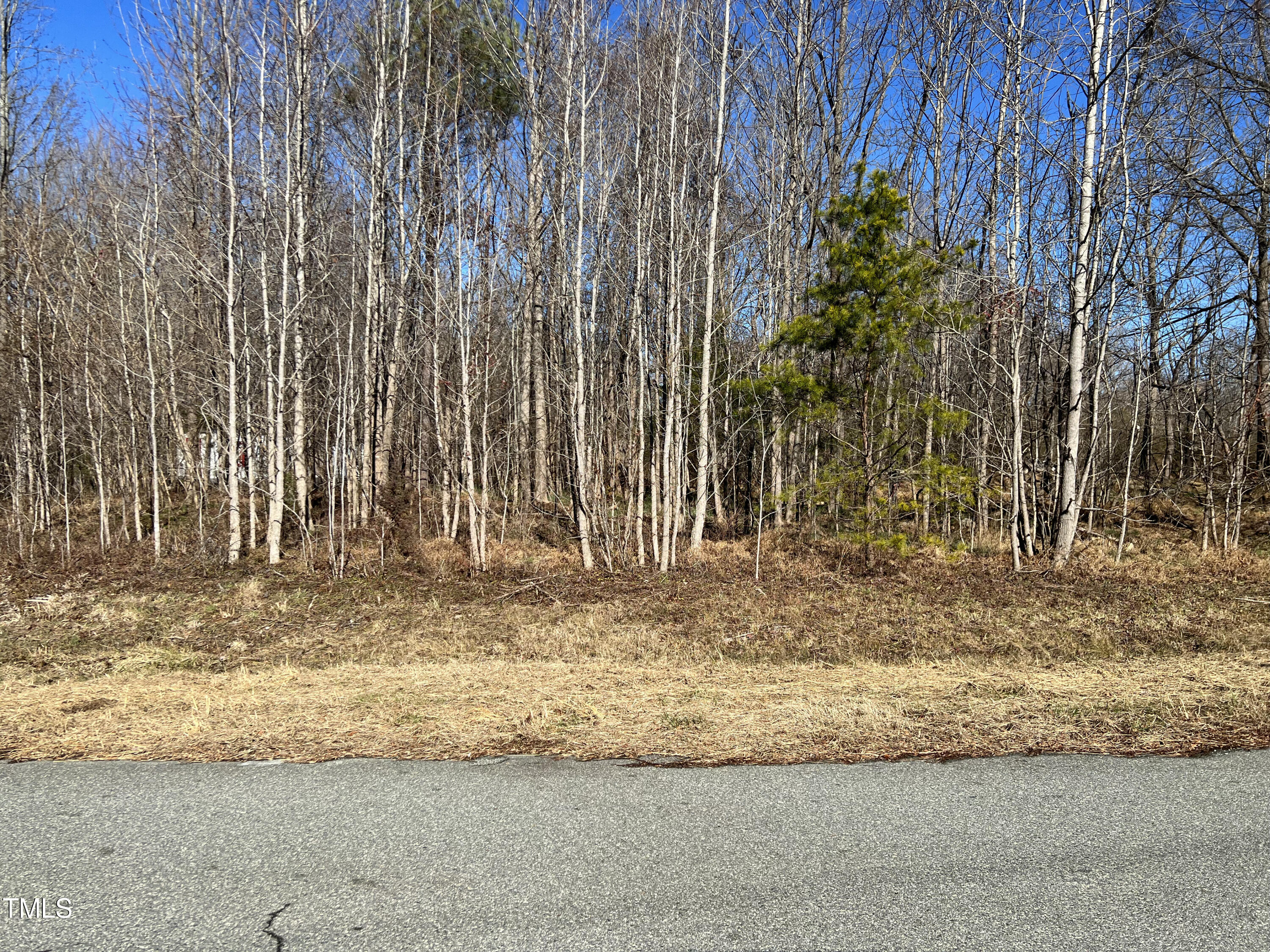 0 Service Road Property Photo 3
