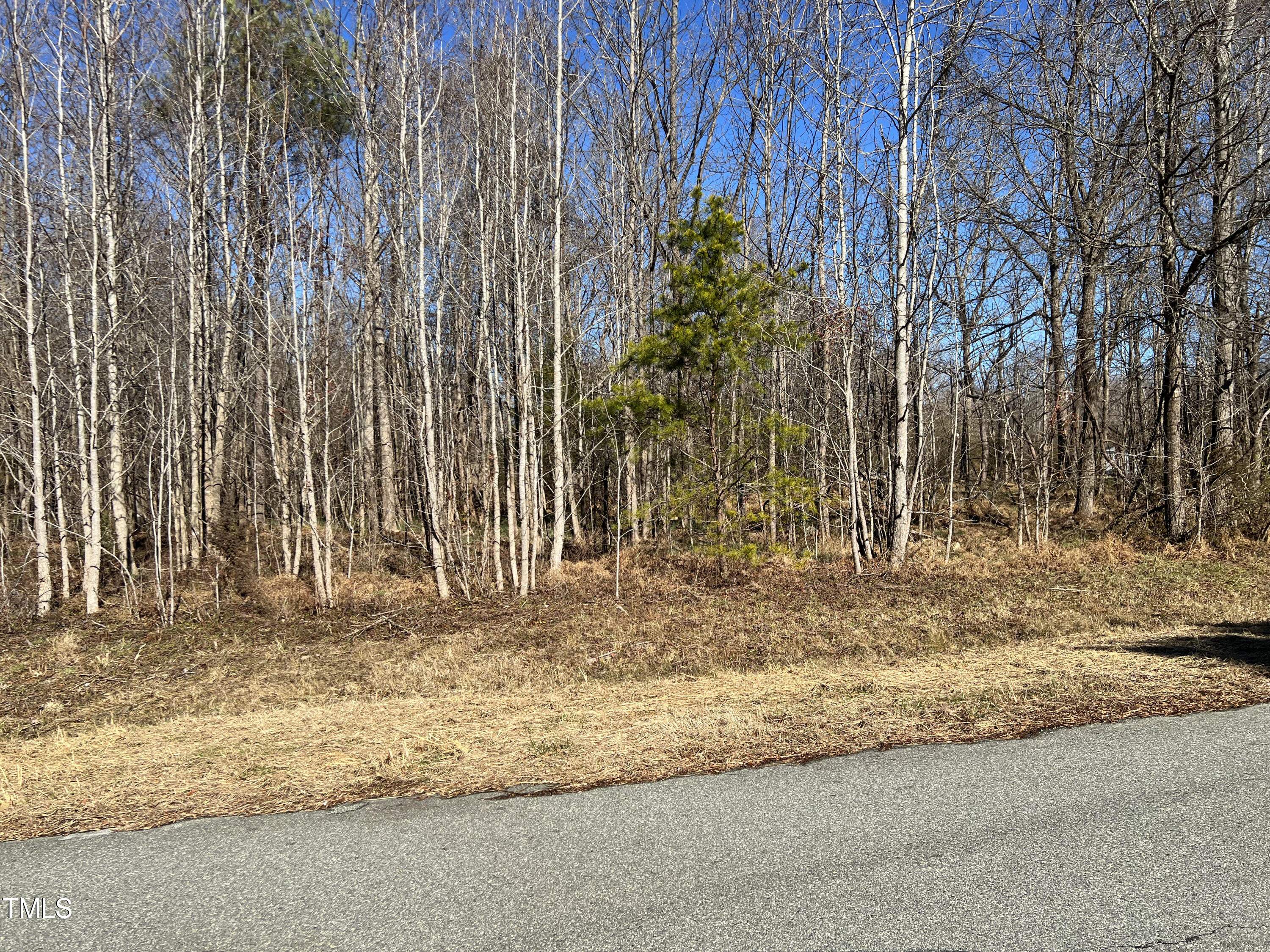 0 Service Road Property Photo 4