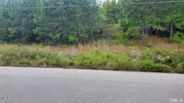 0 Ruin Creek Road Property Photo 1