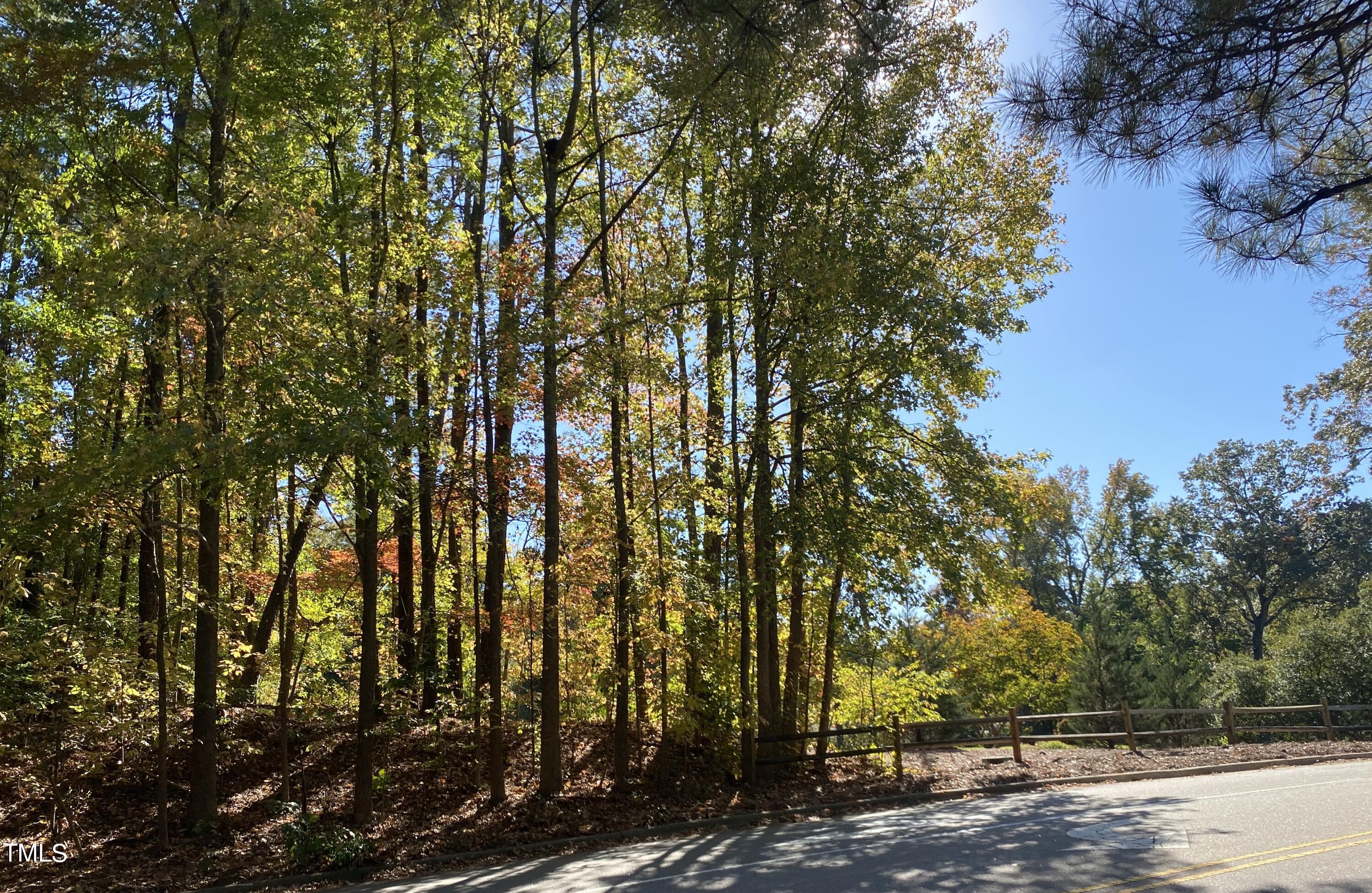 7019 Litchford Road Property Photo 3