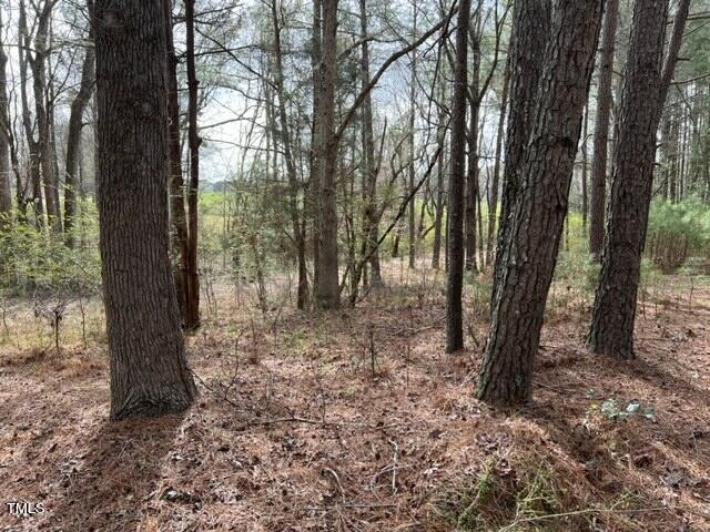 8613 Breezy Grove Trail Property Photo 1
