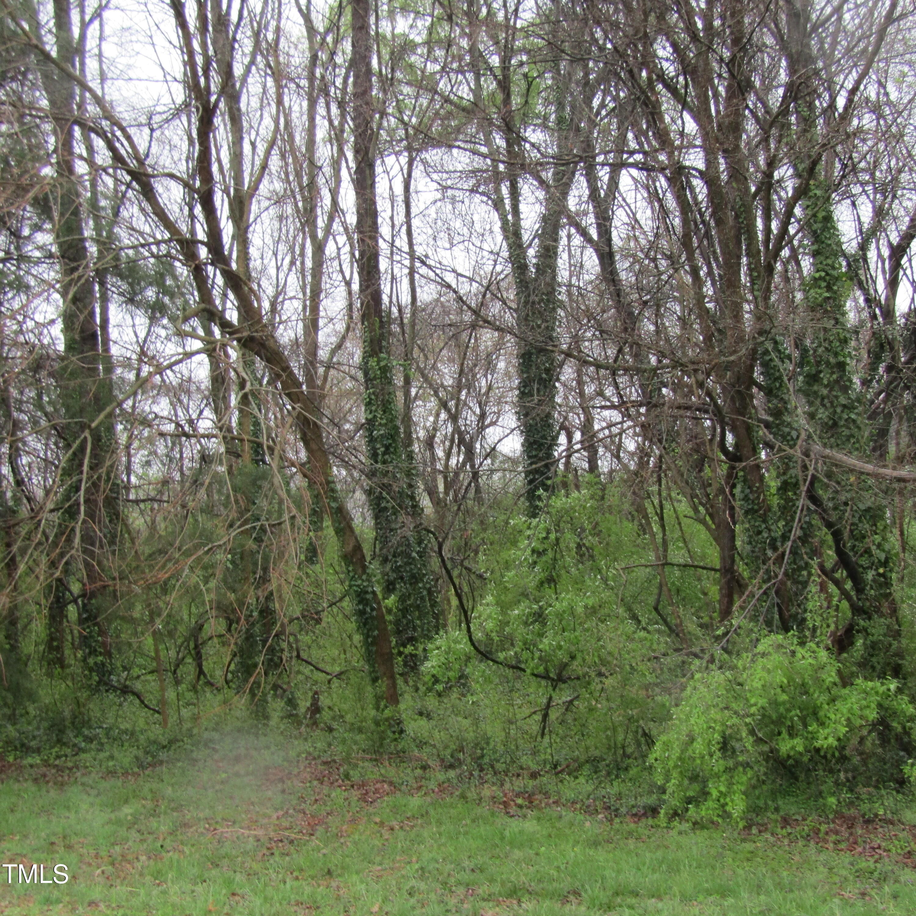 5171 Starmount Road Property Photo 1