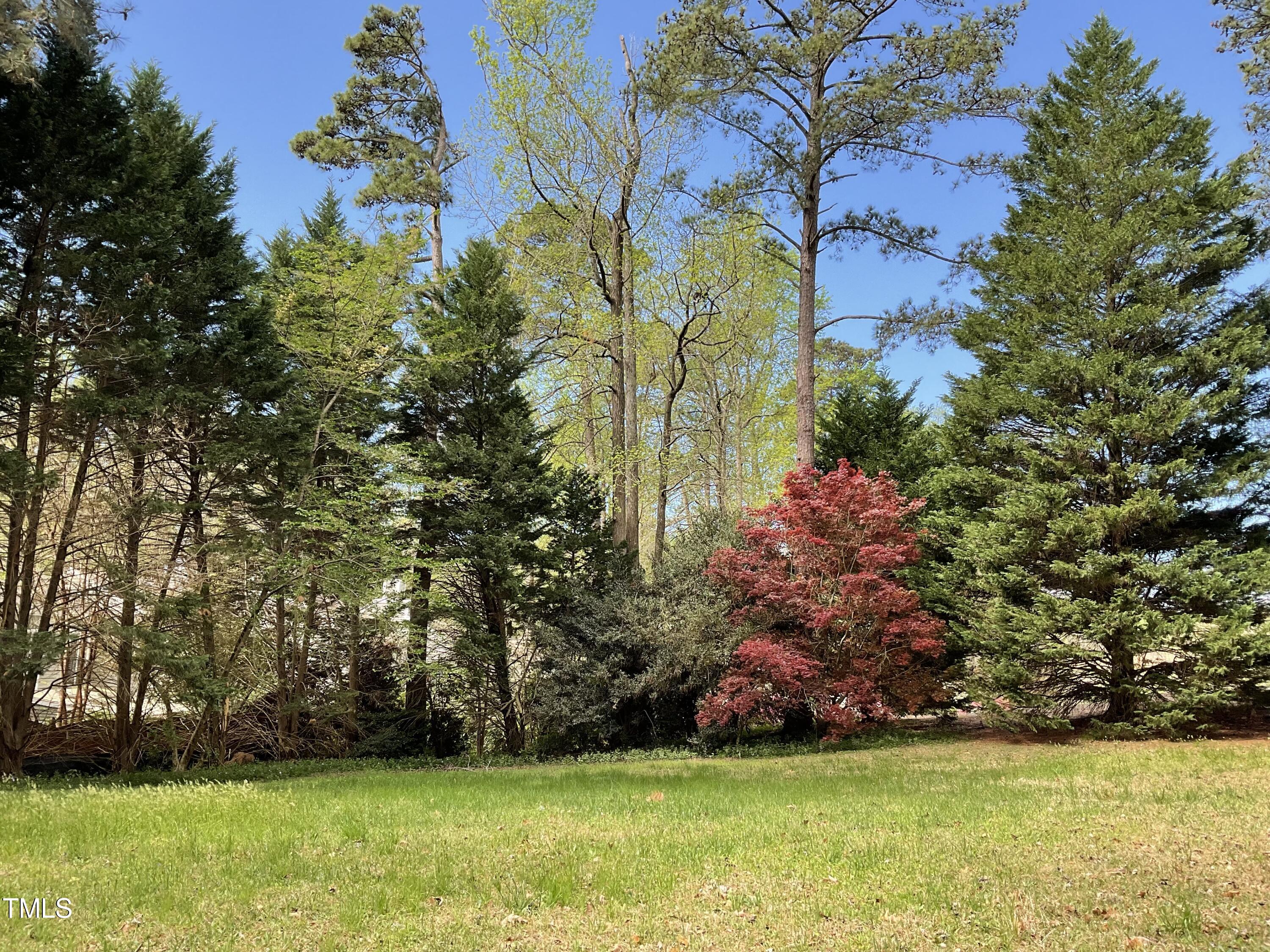 7015 Litchford Road Property Photo 3