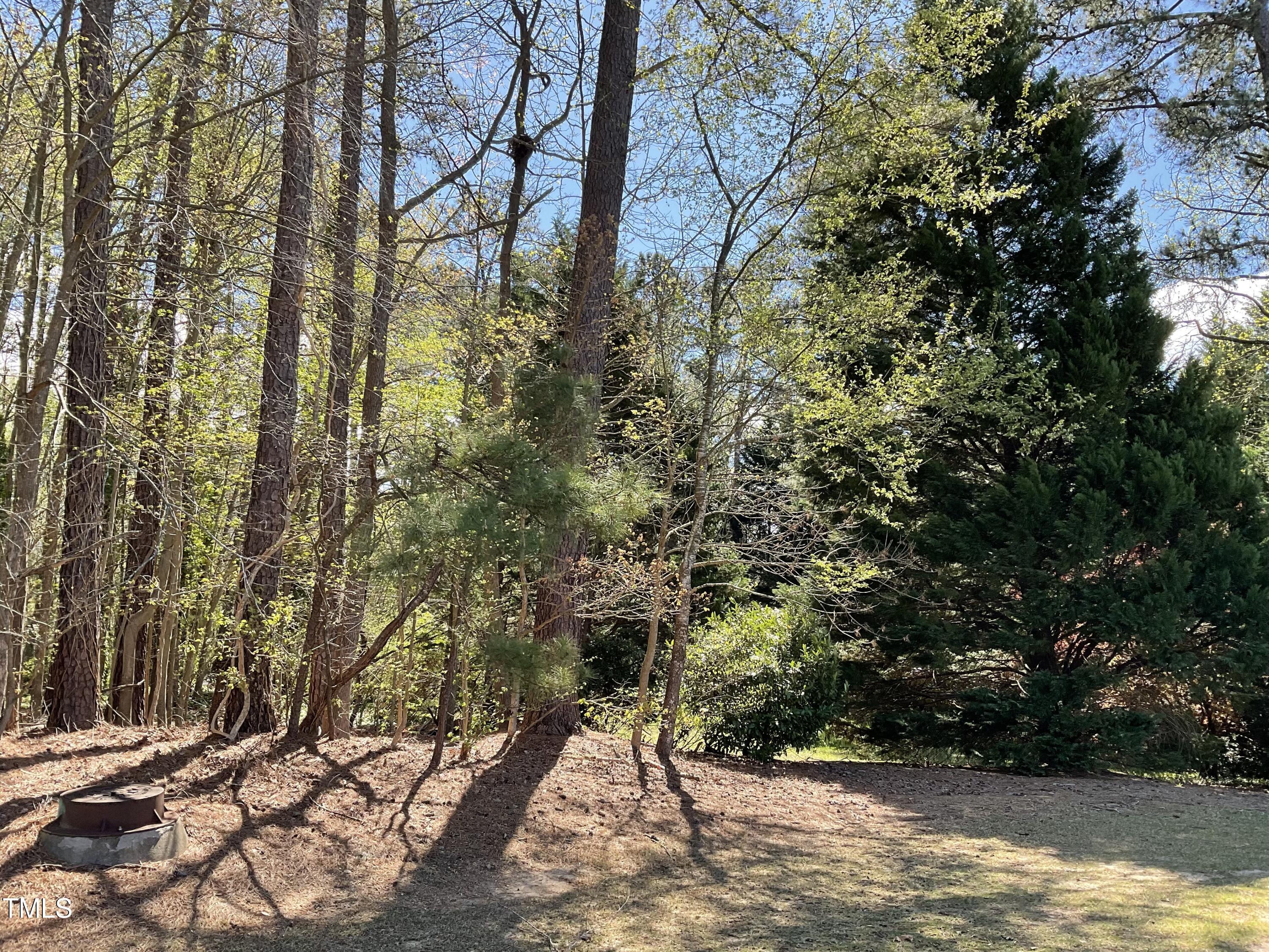 7015 Litchford Road Property Photo 5