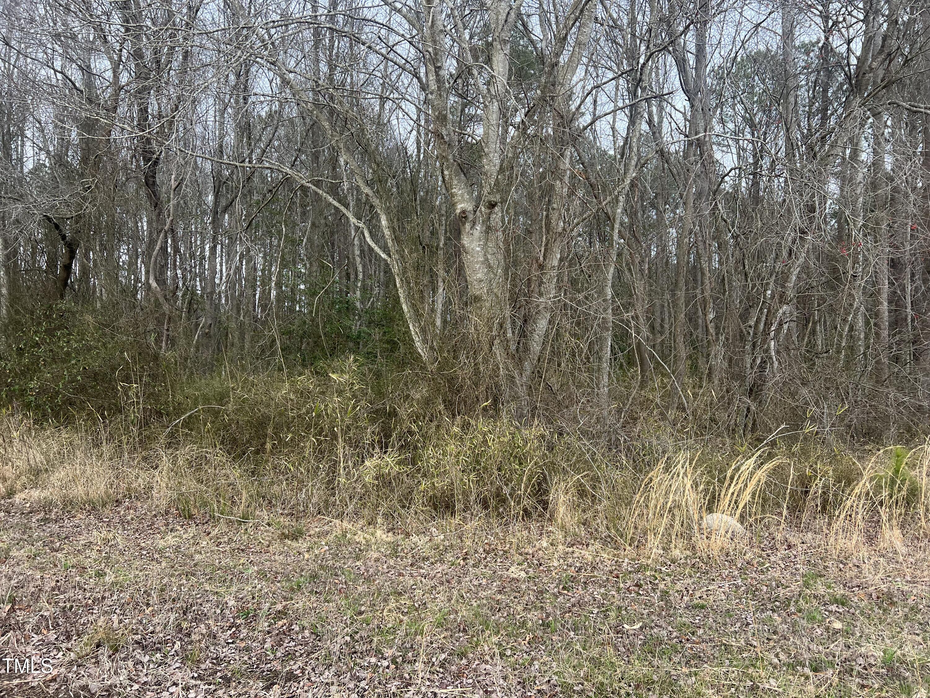 733 Federal Road Property Photo 5