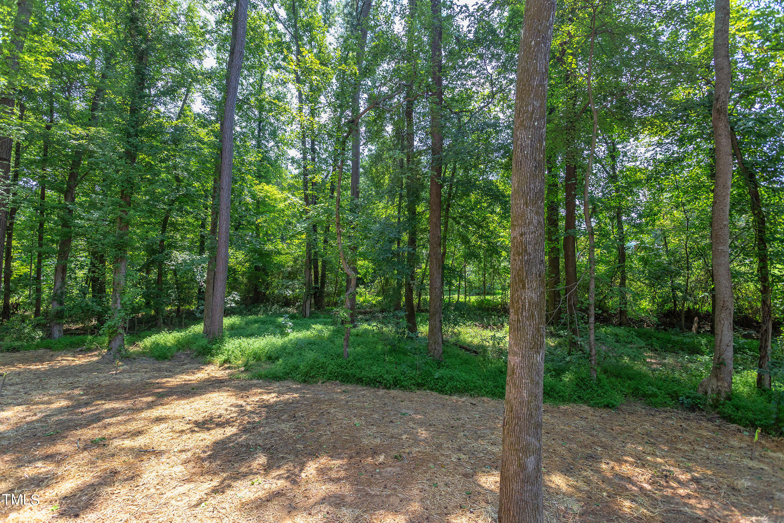 206 Cardinal Court Property Photo 37