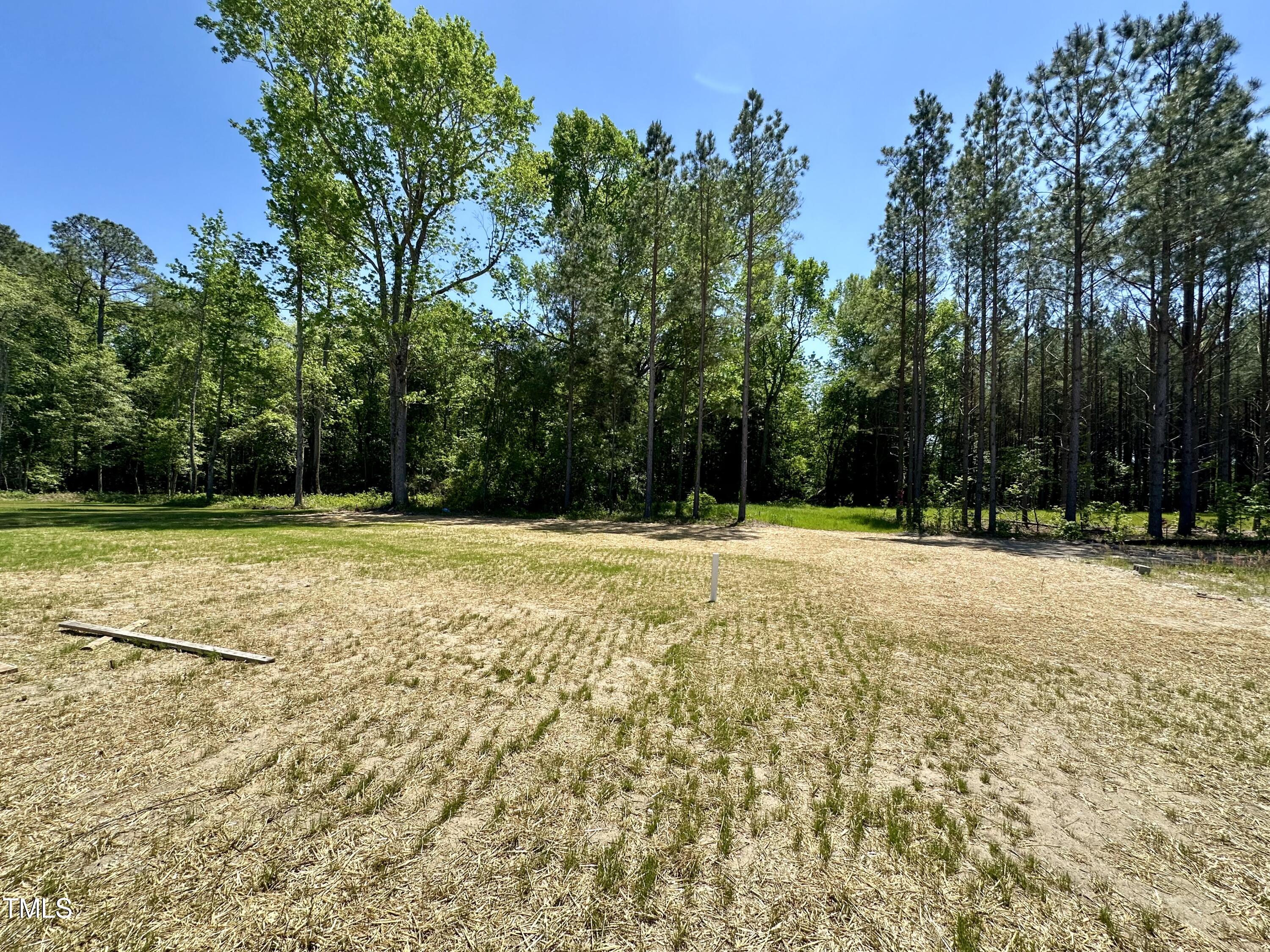 295 Earnest Way Property Photo 30