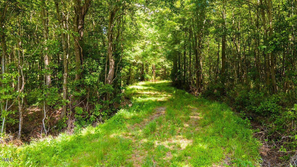 1511 Hickory Crossroads Road Property Photo 6