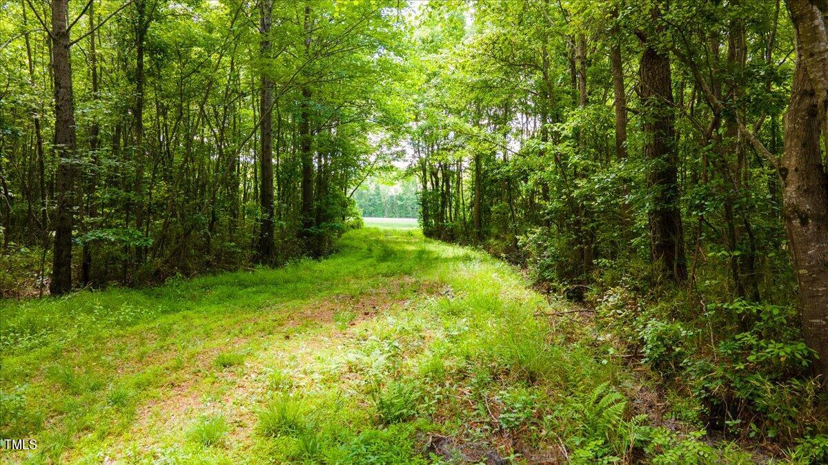 1511 Hickory Crossroads Road Property Photo 9