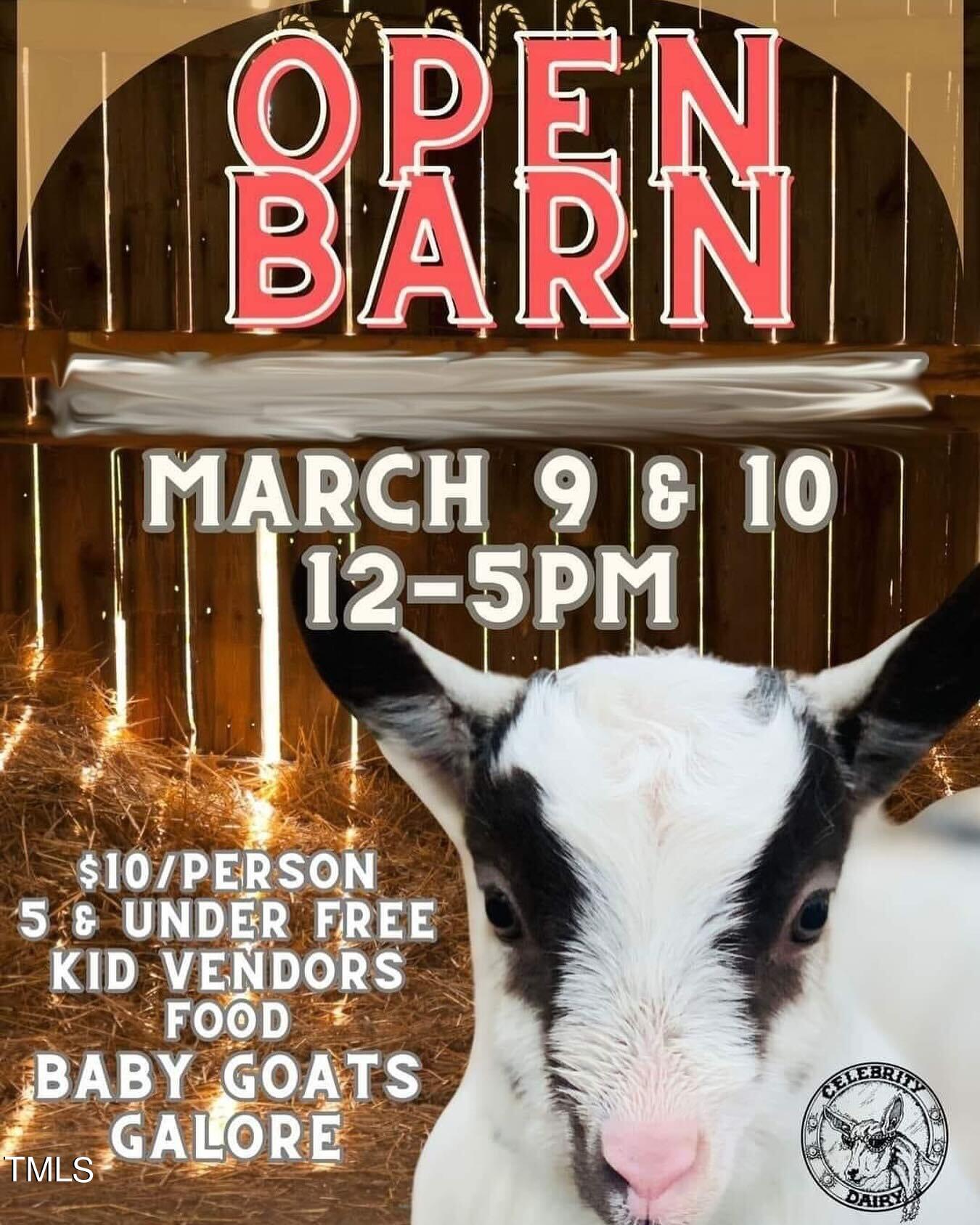 144 Celebrity Dairy Way Property Photo 12