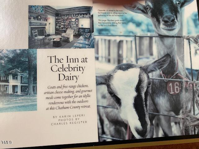 144 Celebrity Dairy Way Property Photo 15