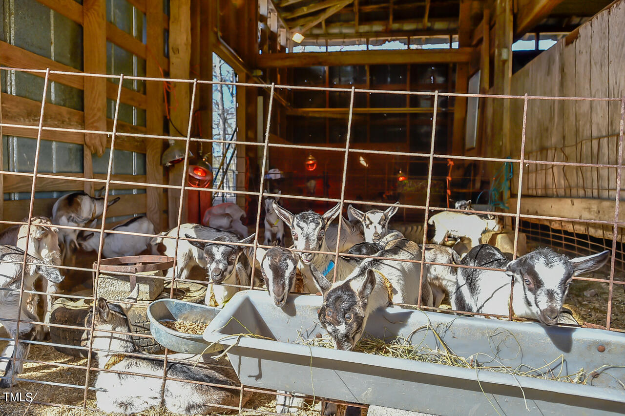 144 Celebrity Dairy Way Property Photo 69