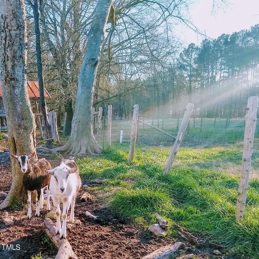 144 Celebrity Dairy Way Property Photo 78