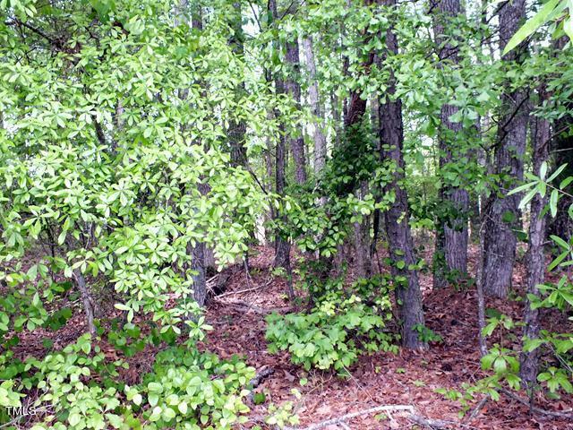 685 Bunn Elementary School Road Property Photo