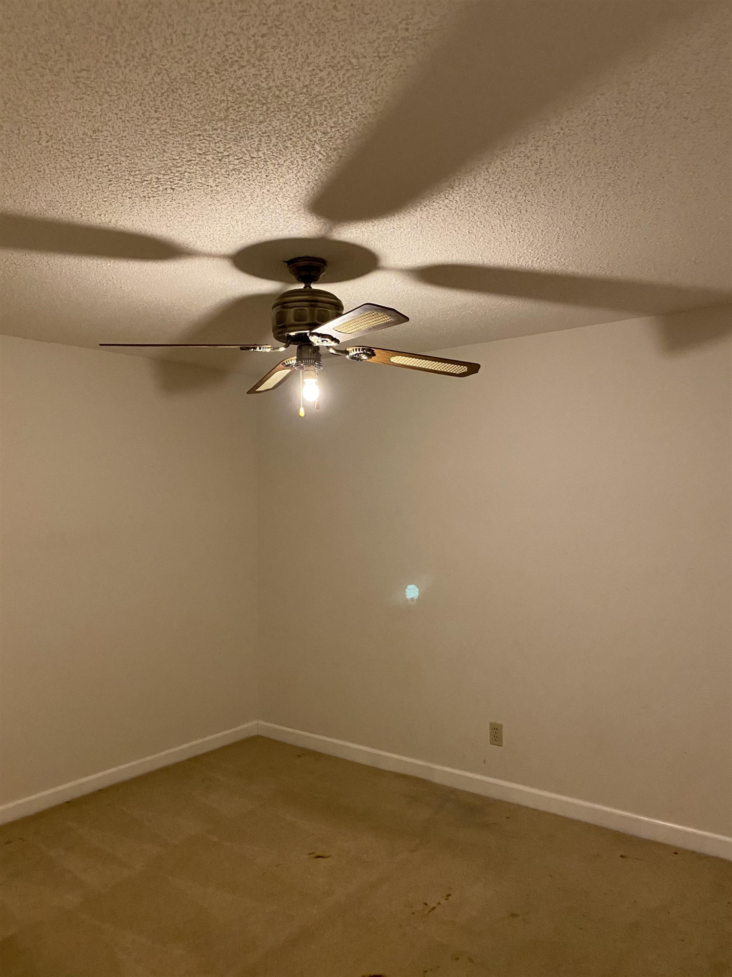 5318 Us-264 Alt Property Photo 14