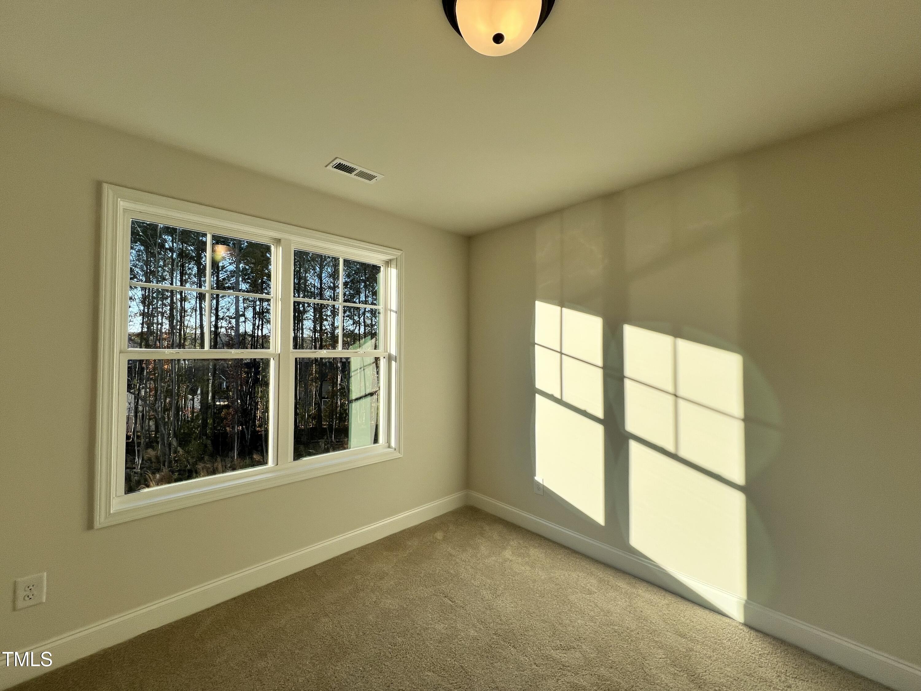 97 Calluna Drive Property Photo 12