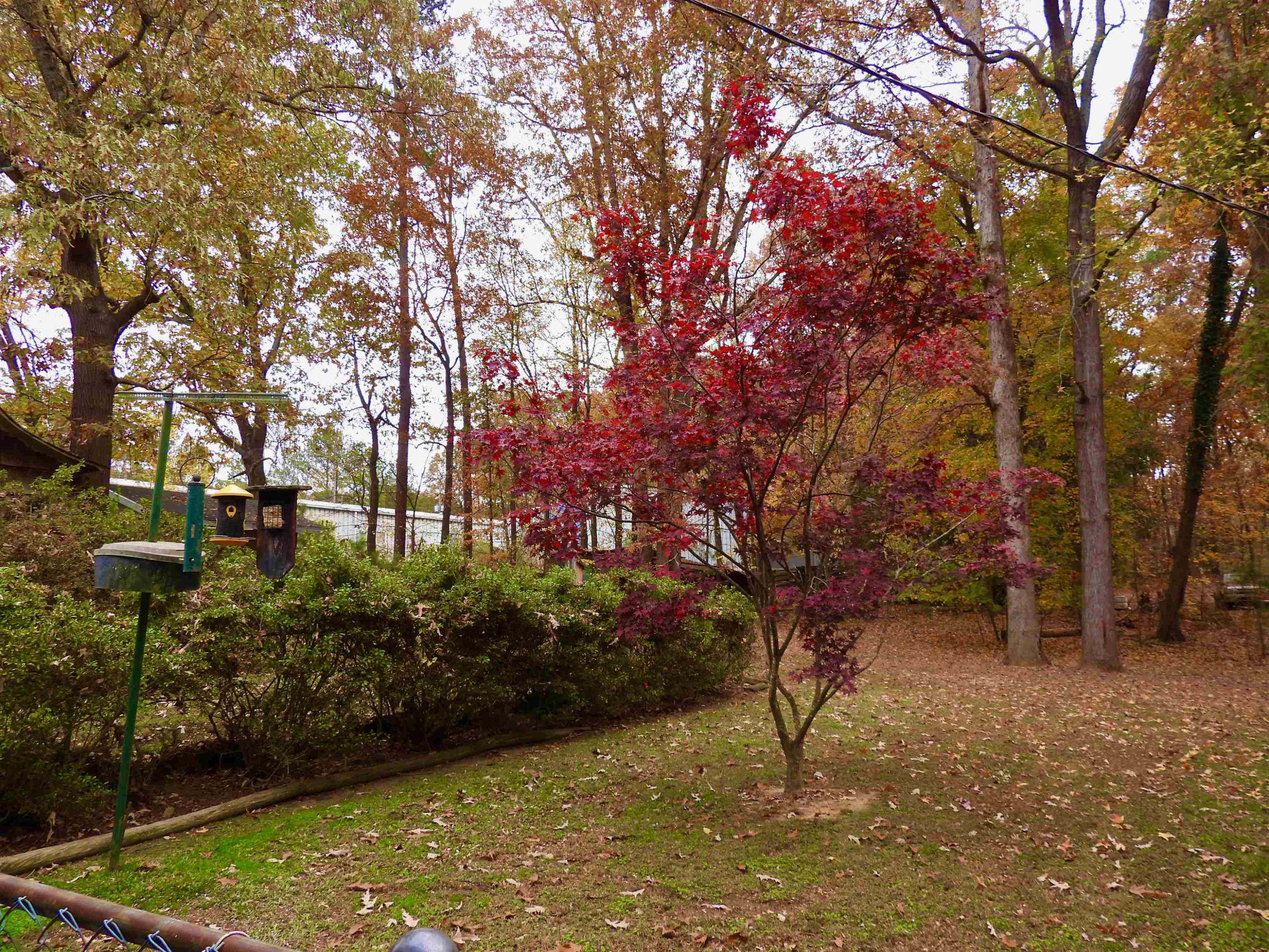 3007 Old Raleigh Road Property Photo 29