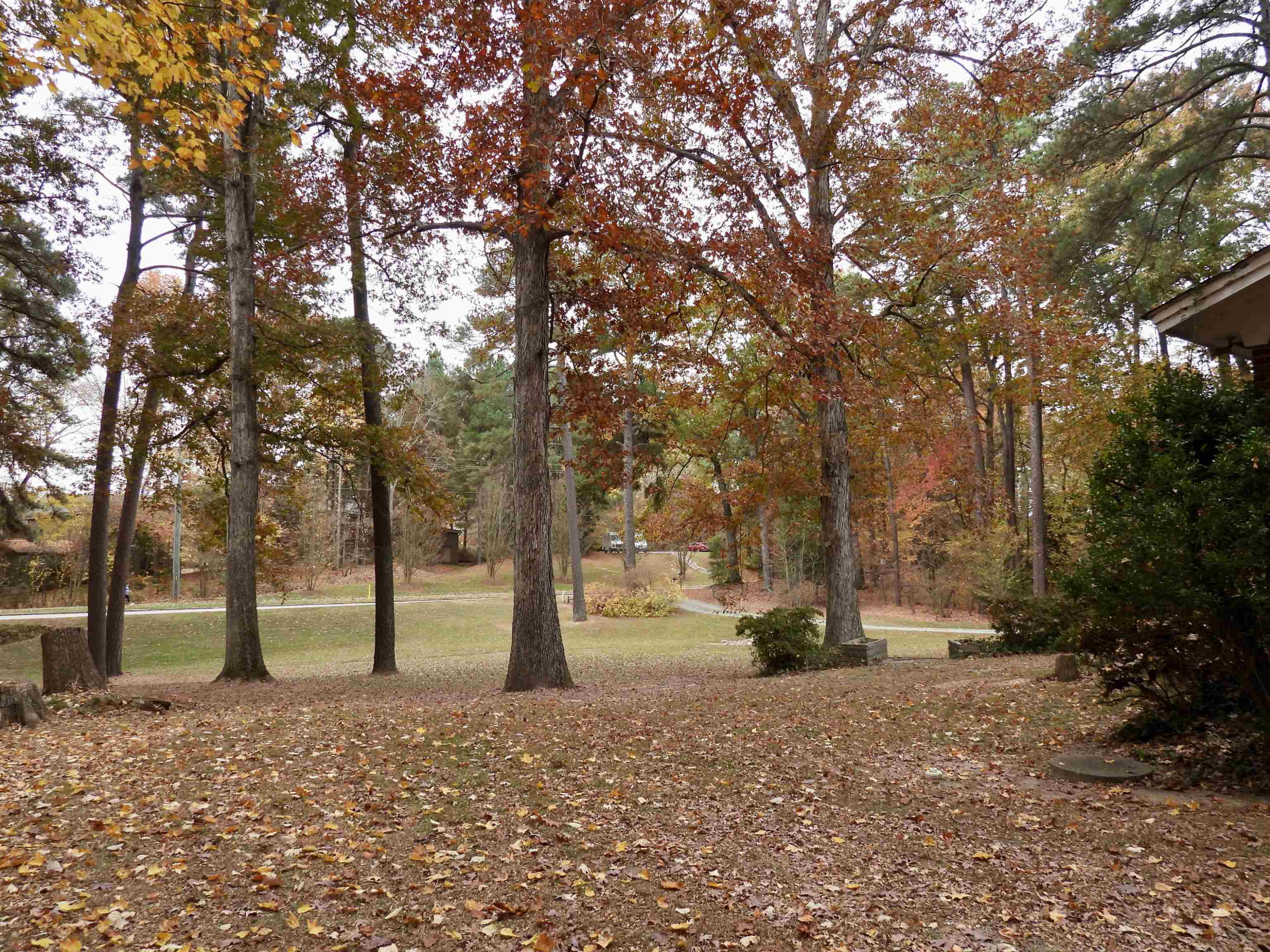 3007 Old Raleigh Road Property Photo 31