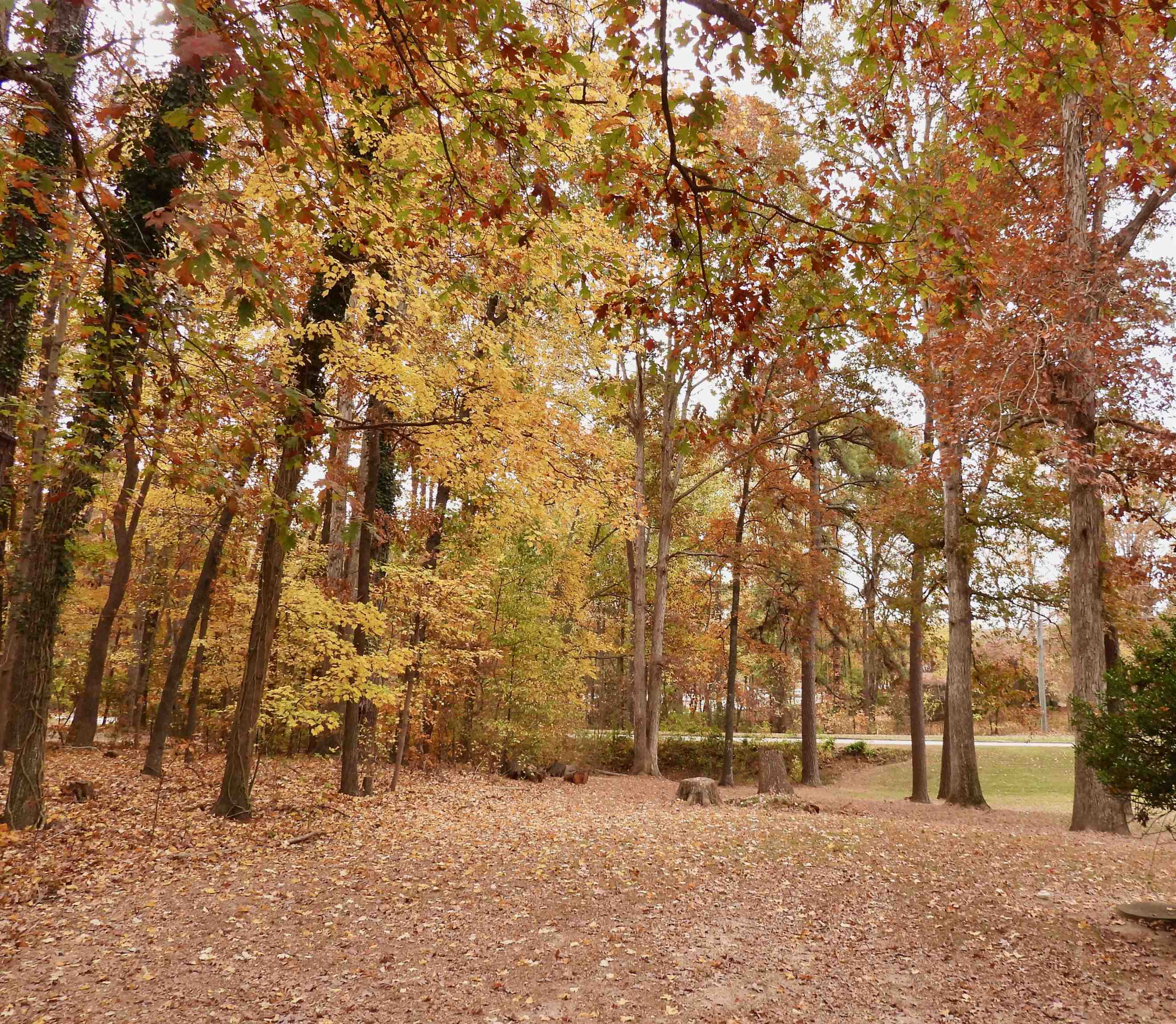 3007 Old Raleigh Road Property Photo 33