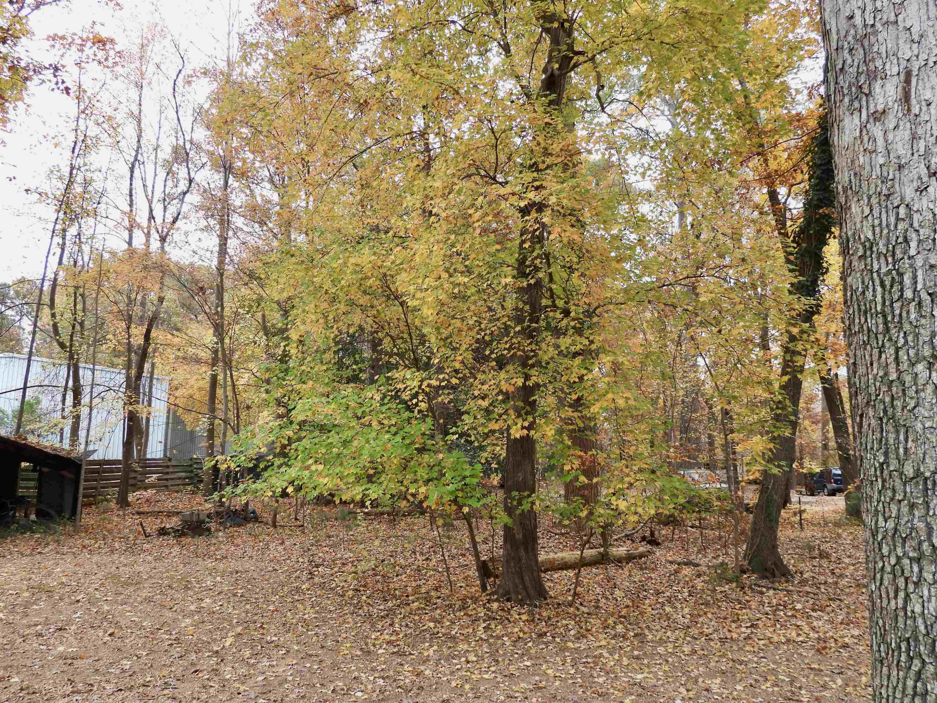 3007 Old Raleigh Road Property Photo 38