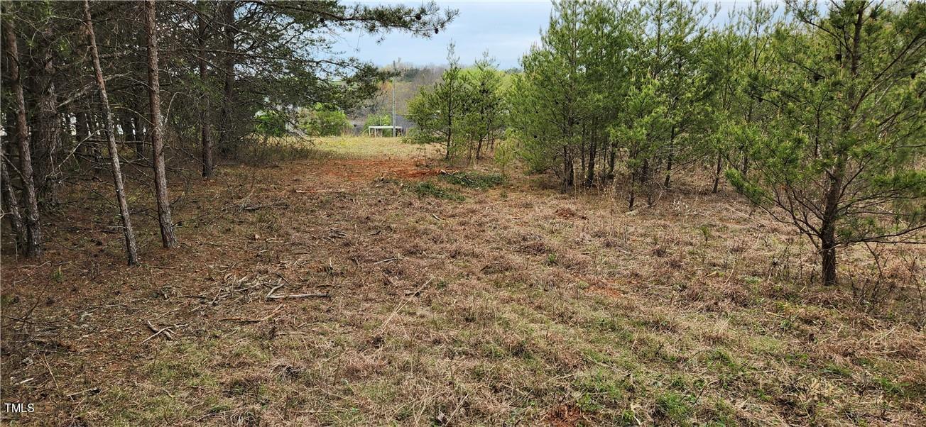Tbd Cc Camp Road Property Photo 9