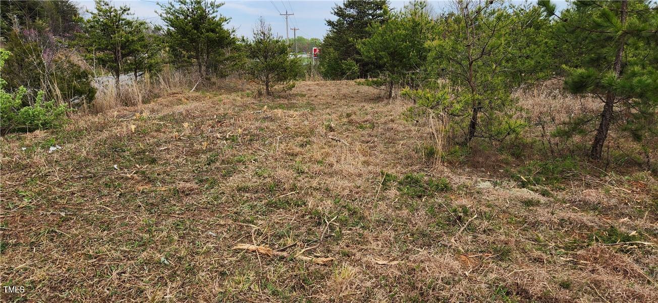 Tbd Cc Camp Road Property Photo 11