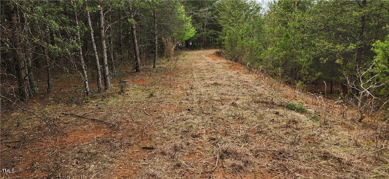 Tbd Cc Camp Road Property Photo 12