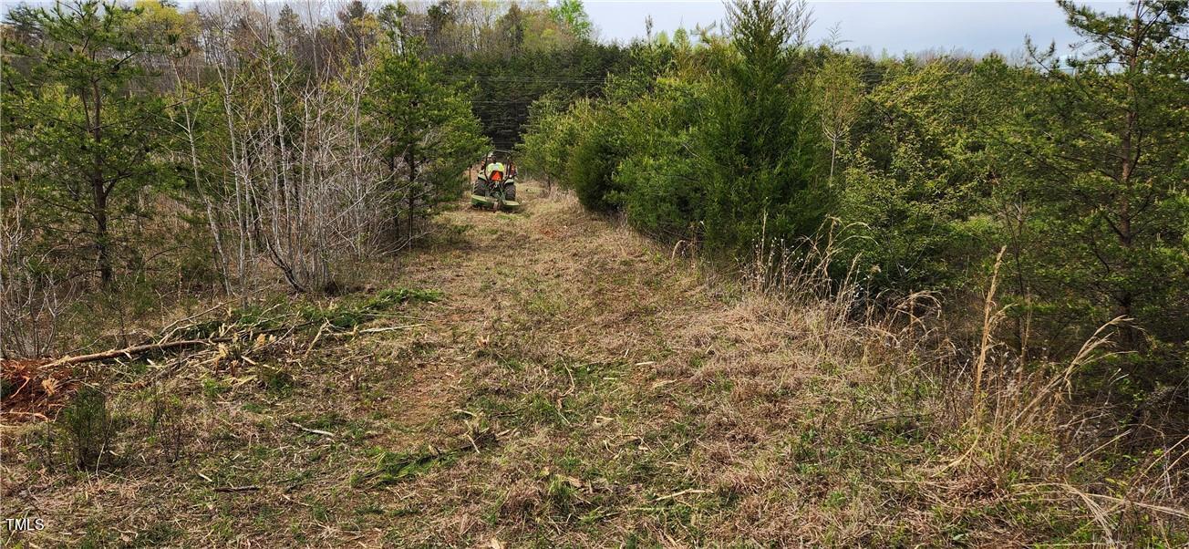 Tbd Cc Camp Road Property Photo 13