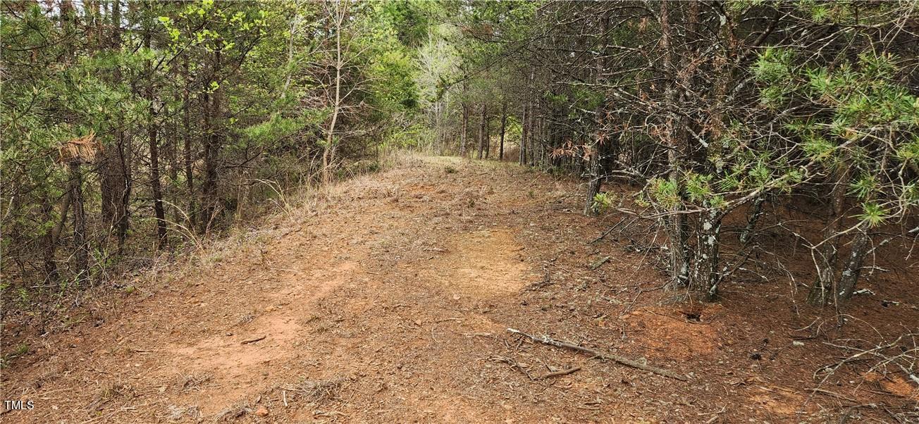 Tbd Cc Camp Road Property Photo 14