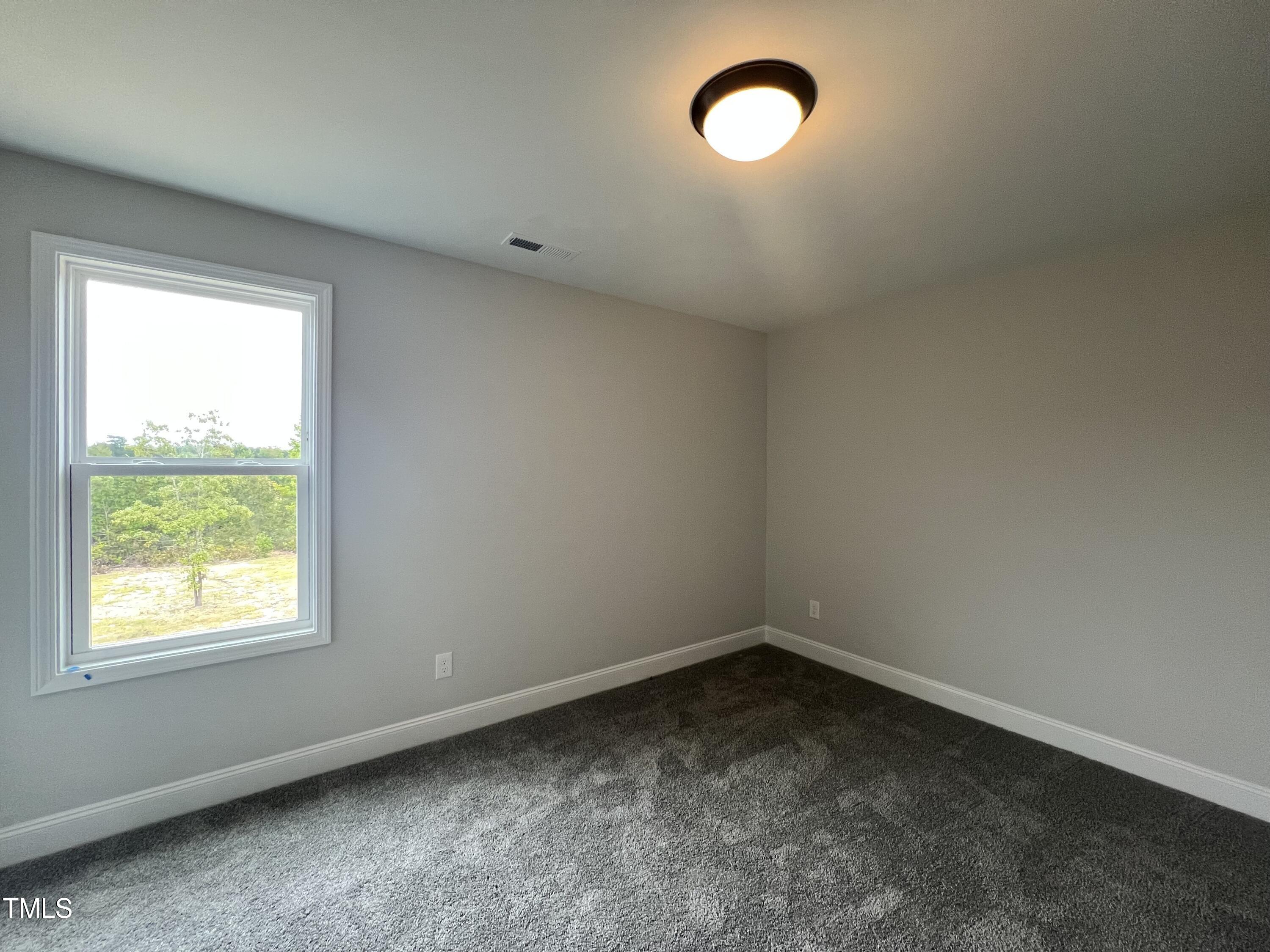 79 Barhams Mill Pond Way Property Photo 6