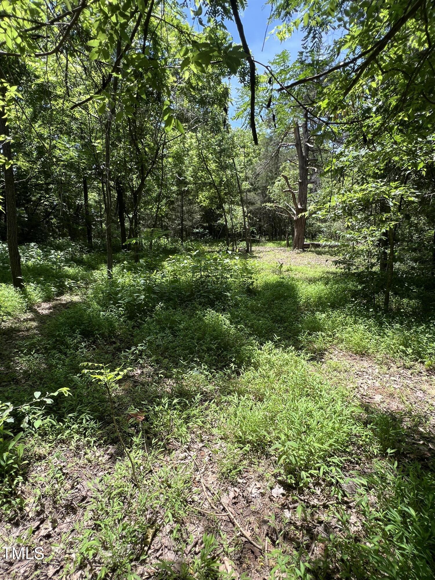 2201 Moorefields Rd Property Photo 1