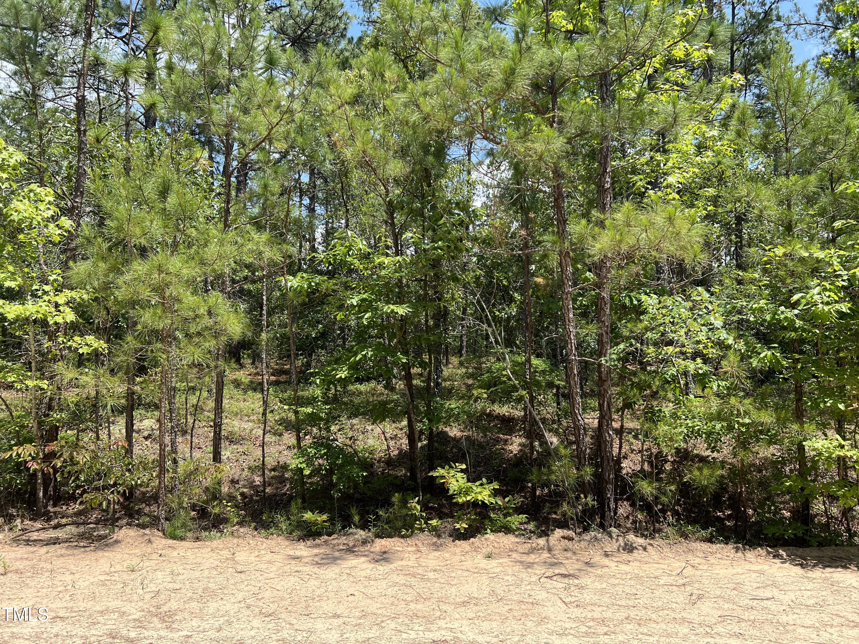 945 Sorrell Drive Property Photo 1