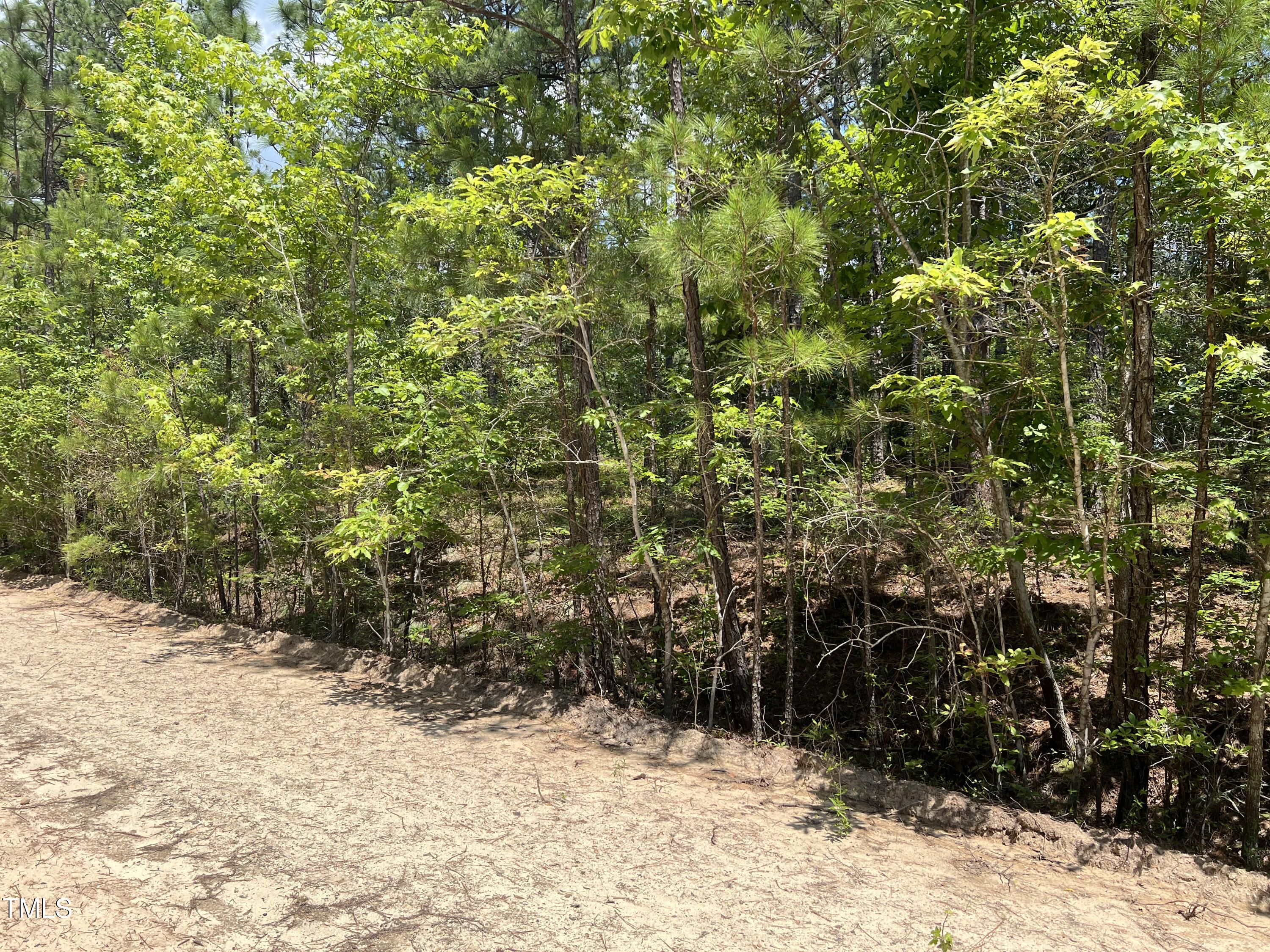 945 Sorrell Drive Property Photo 4