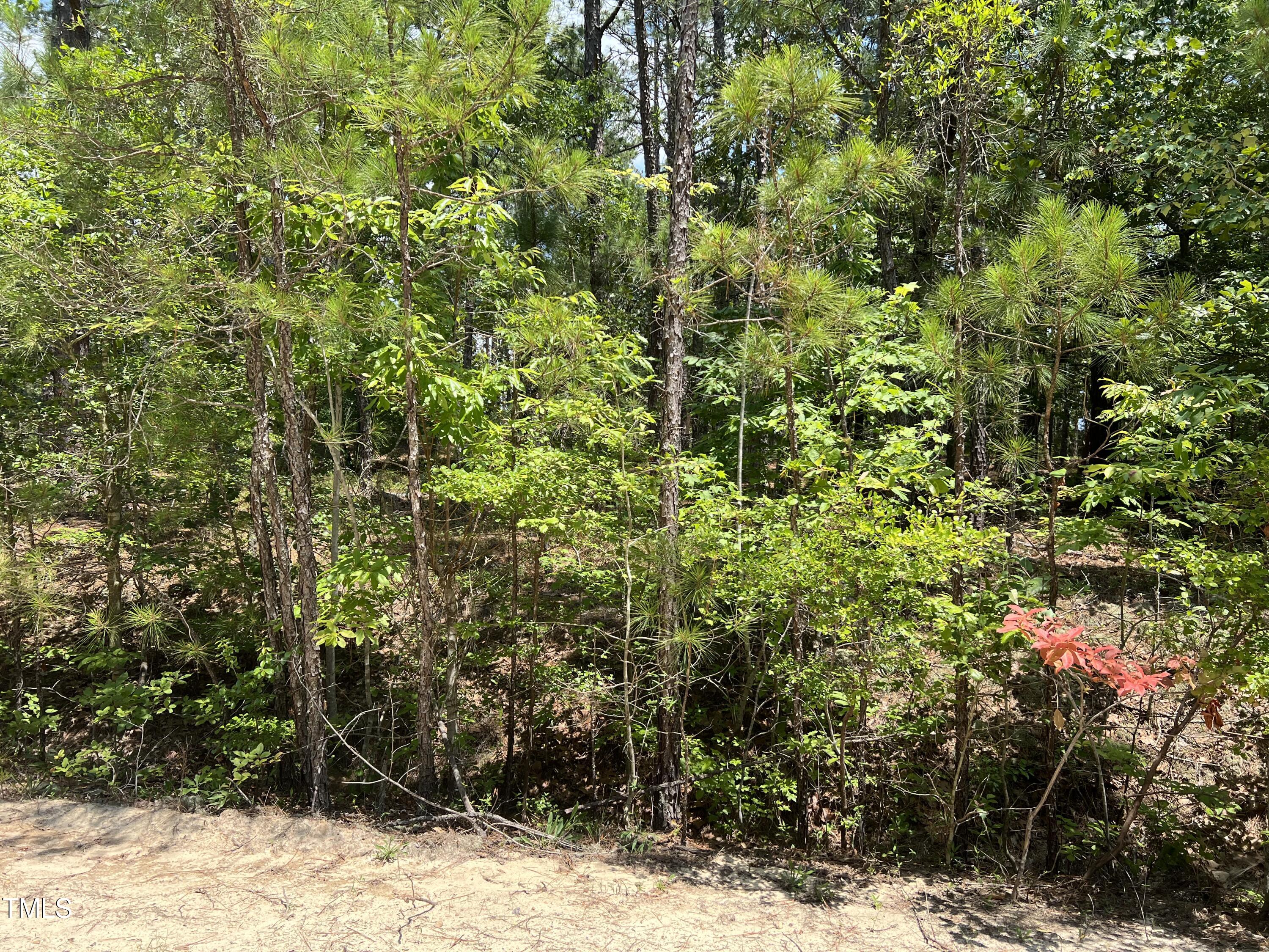949 Sorrell Drive Property Photo 17