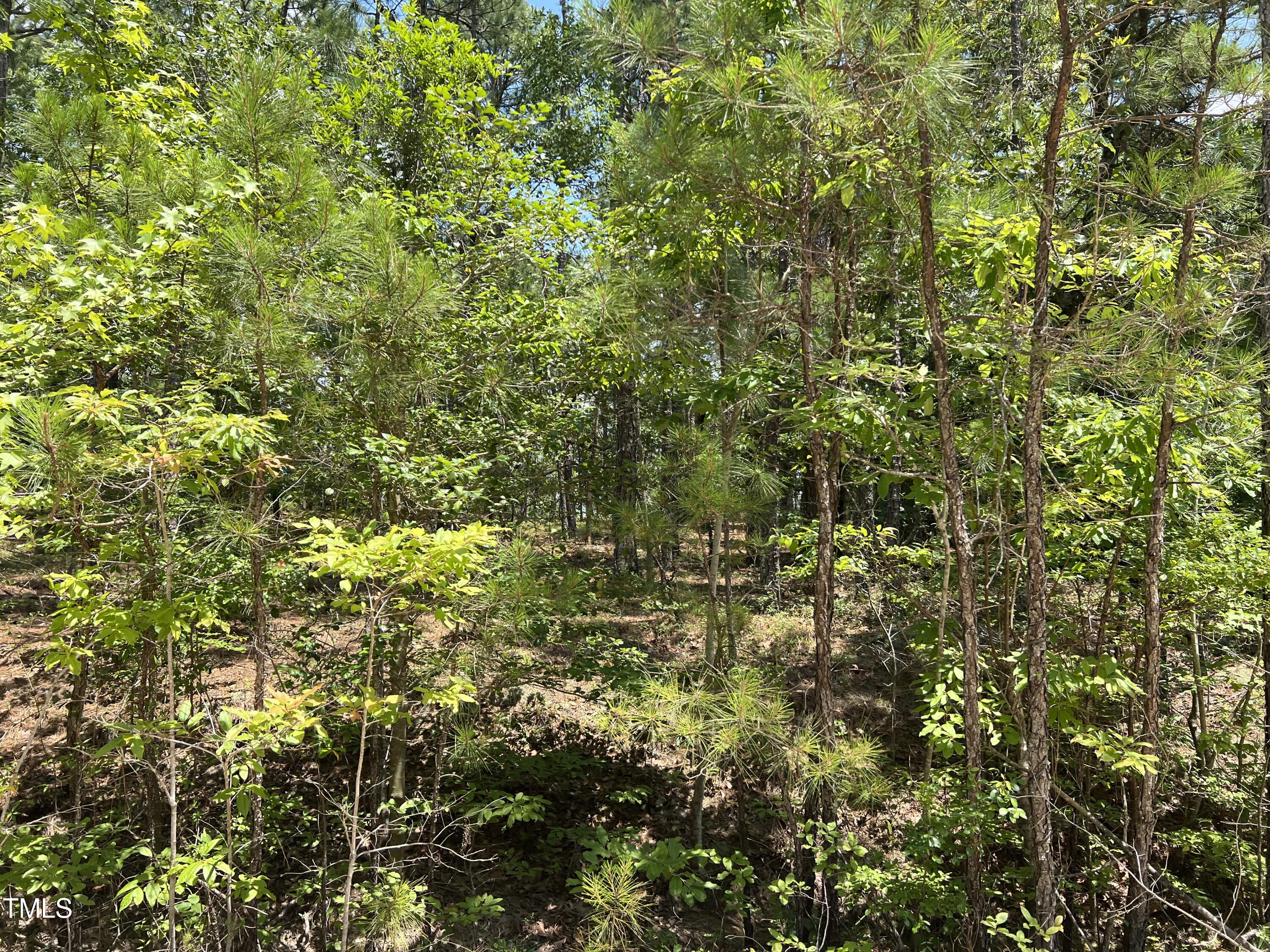 949 Sorrell Drive Property Photo 18