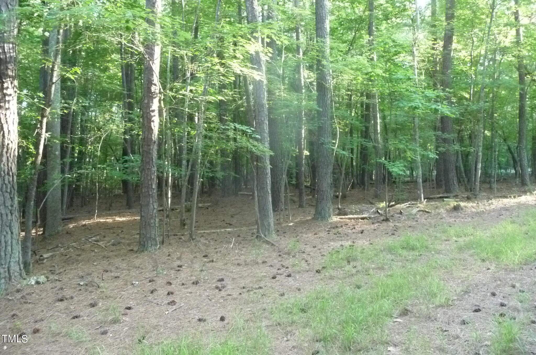 8095 Old Nc 86 Property Photo 4